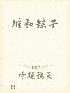 维和粽子