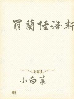罗兰佳洛斯
