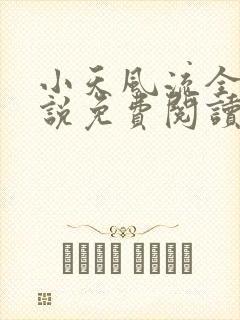 小天风流全集小说免费阅读封面