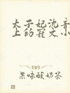 太子妃沈音和皇上的宠文小说