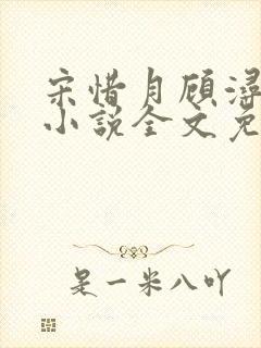 宋惜月顾浔渊的小说全文免费阅读