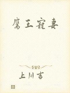 鹰王宠妻