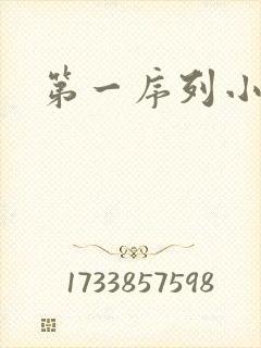 第一序列小说封面