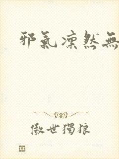 邪气凛然无弹窗