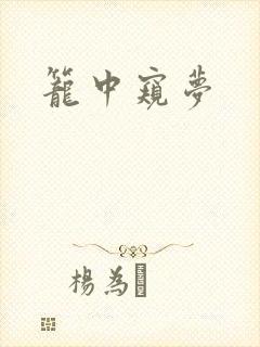 笼中窥梦封面