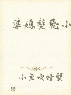 婆媳双飞小说