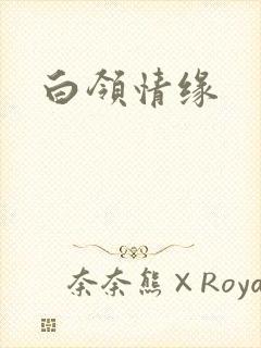 白领情缘