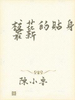 校花的贴身高手最新