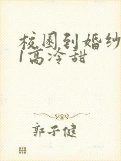 校园到婚纱1V1高冷甜