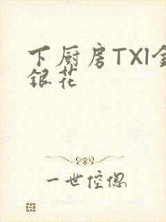 下厨房TXl金银花
