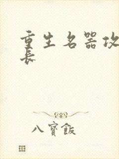 重生名器攻略兄长封面