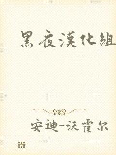 黑夜汉化组