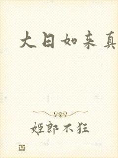 大日如来真经封面