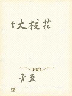 t大校花
