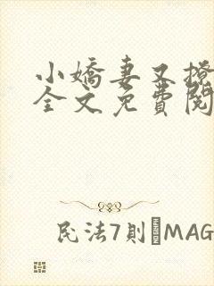 小娇妻又撩又甜全文免费阅读