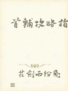 首辅攻略指南