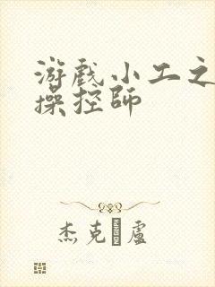 游戏小工之元素操控师封面