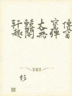 轩辕大宝传奇笔趣阁无弹窗