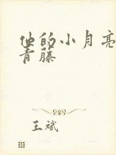 他的小月亮by青藤