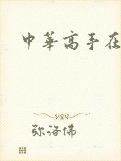 中华高手在异世封面