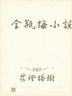 金瓶梅小说在线