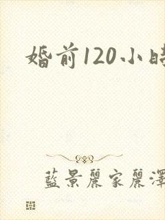 婚前120小时封面