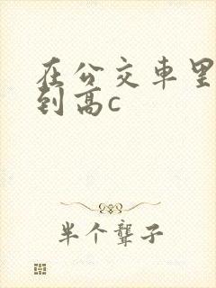 在公交车里c弄到高c