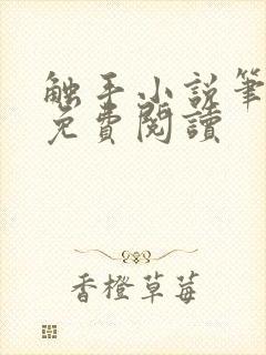 触手小说笔趣阁免费阅读