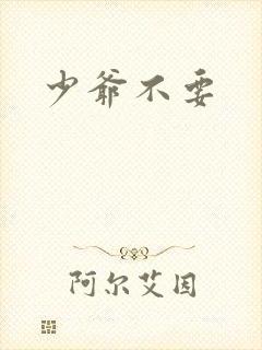 少爷不要