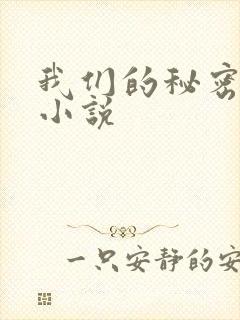 我们的秘密泰剧小说