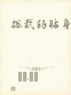 总裁的贴身女佣封面
