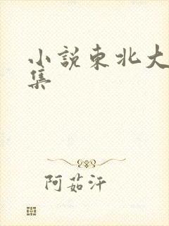 小说东北大炕全集