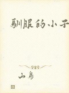 驯服的小子4