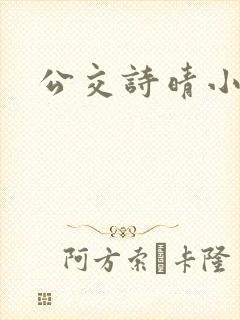 公交诗晴小说