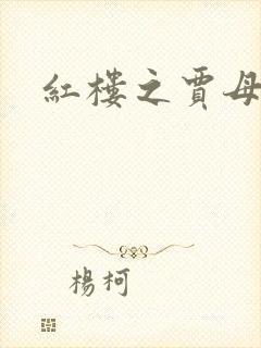 红楼之贾母