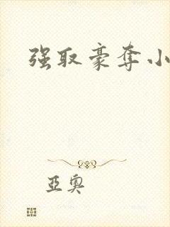强取豪夺小说