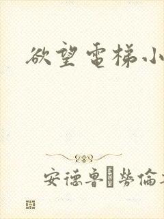 欲望电梯小说