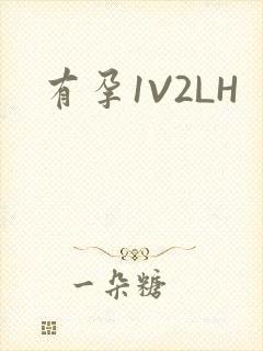 有孕1V2LH