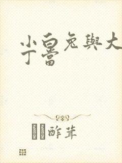 小白兔与大灰狼丁当