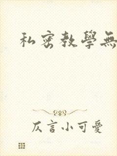 私密教学无删减封面