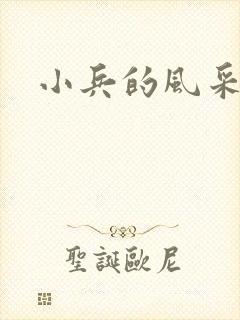 小兵的风采封面