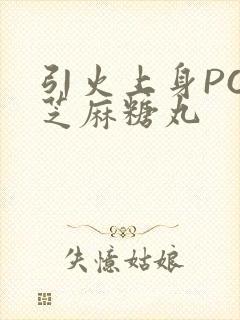 引火上身POP芝麻糖丸