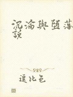 沉沦与堕落的小说
