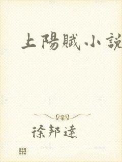 上阳赋小说封面