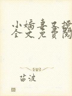 小娇妻又撩又甜全文免费阅读