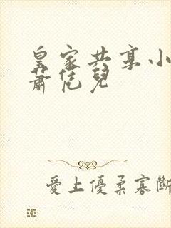 皇家共享小公主萧凭儿