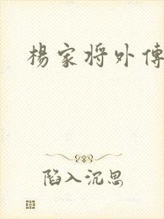 杨家将外传