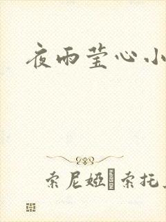 夜雨莹心小说
