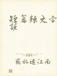 短篇辣文合集小说