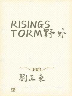 RISINGSTORM野外封面